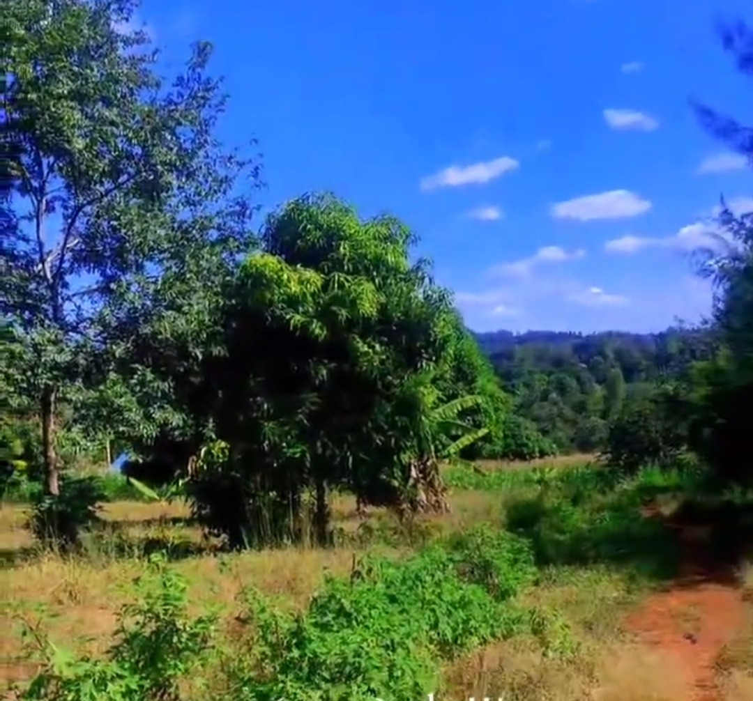 Makuyu Mananja Half Acre For Sale